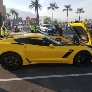 Meet your Posher, Britt